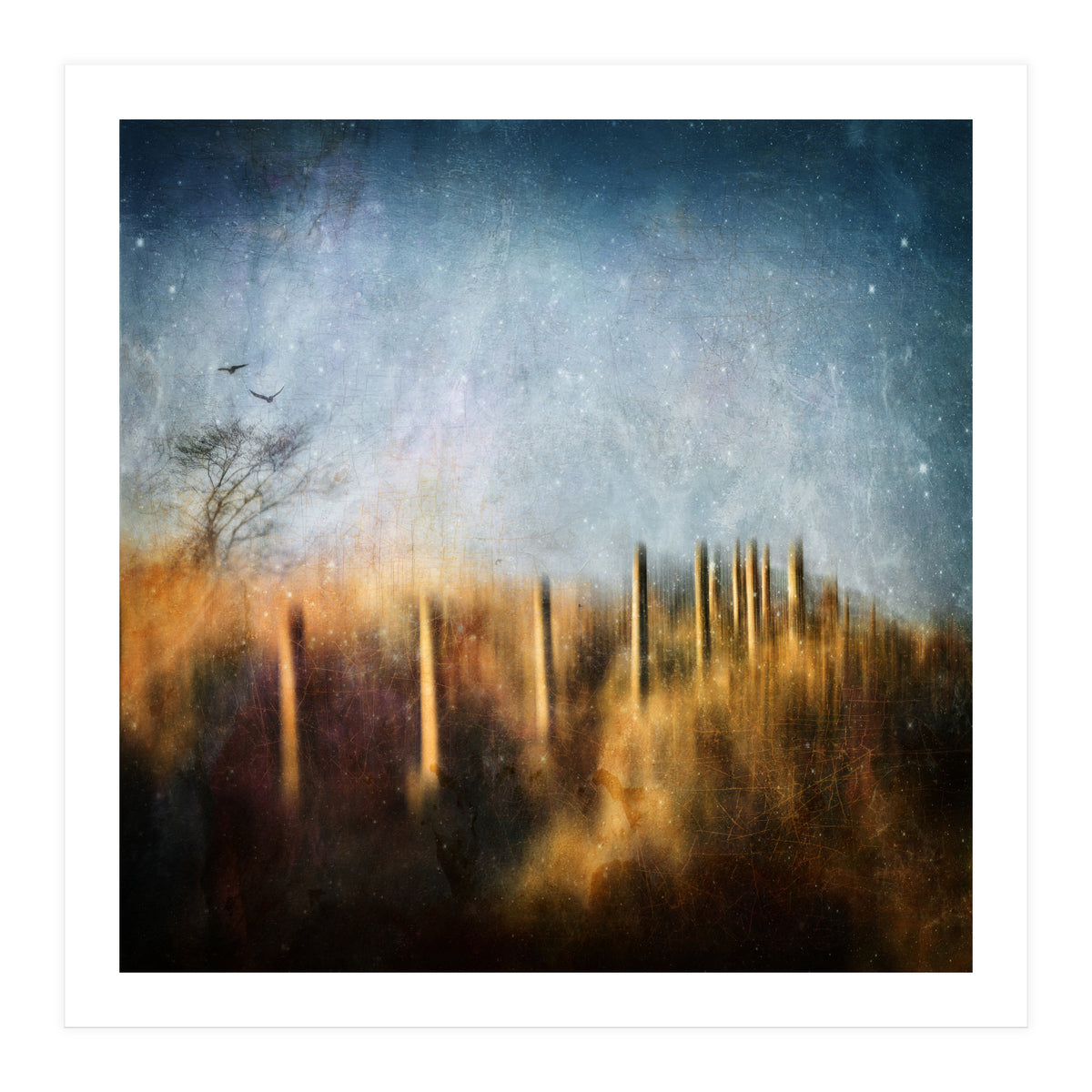 Those Beating Wings (Print Only)