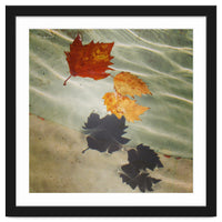 Floating leaves