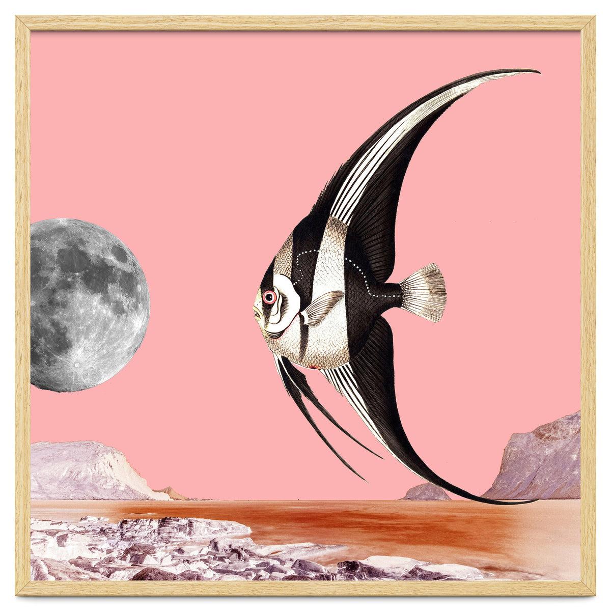 Plenty Of Fish In The Sea Pink