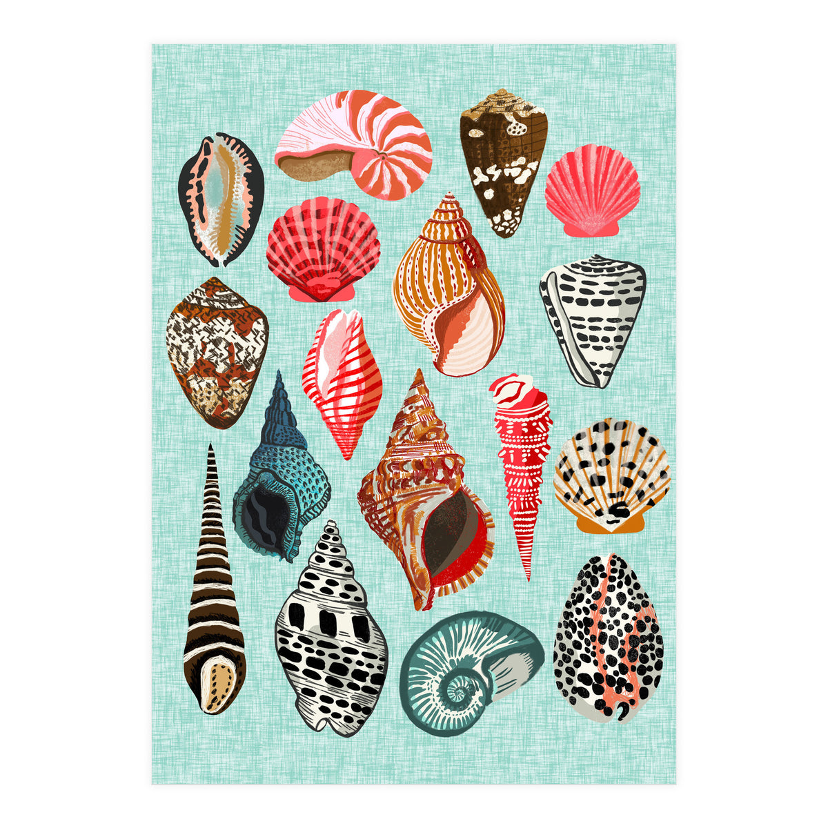 Seashells (Print Only)