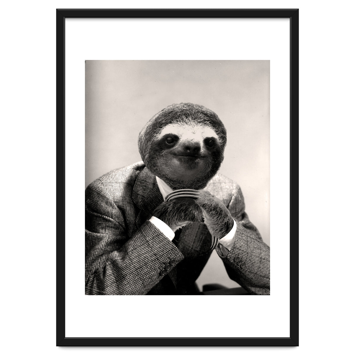 Gentleman Sloth 3
