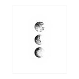 Moon Phases (Print Only) thumbnail
