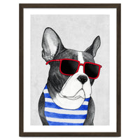 Frenchie Summer Style