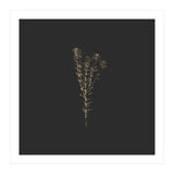 Moody Golden Botanicals - Square (Print Only) thumbnail