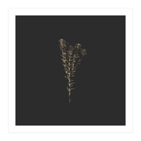 Moody Golden Botanicals - Square (Print Only)