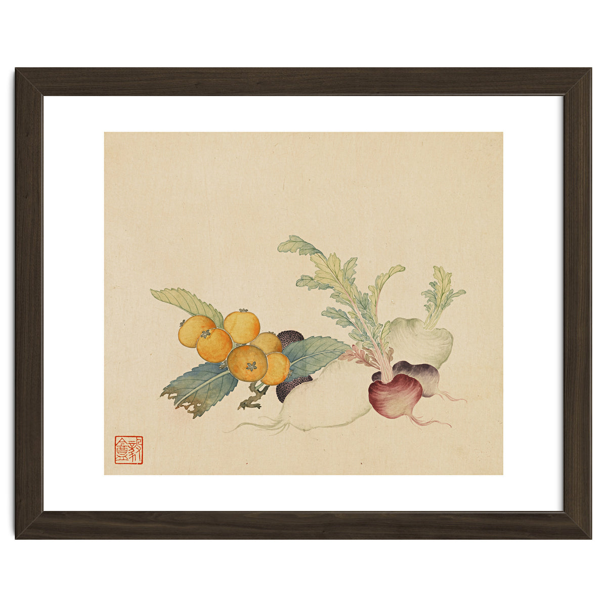 Wang Chengpi~flowers And Vegetables, Vegetables, Fruits, Loquat, White Radish, Carrot, Radish