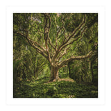 Spirits inside the wood (Print Only) thumbnail