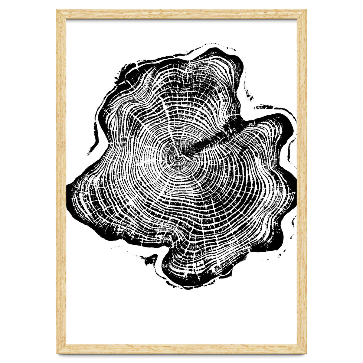Alaskan Cypress, Tree Ring Art Print, Woodblock