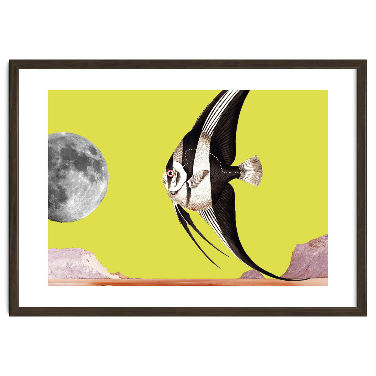 Plenty of fish in the sea yellow