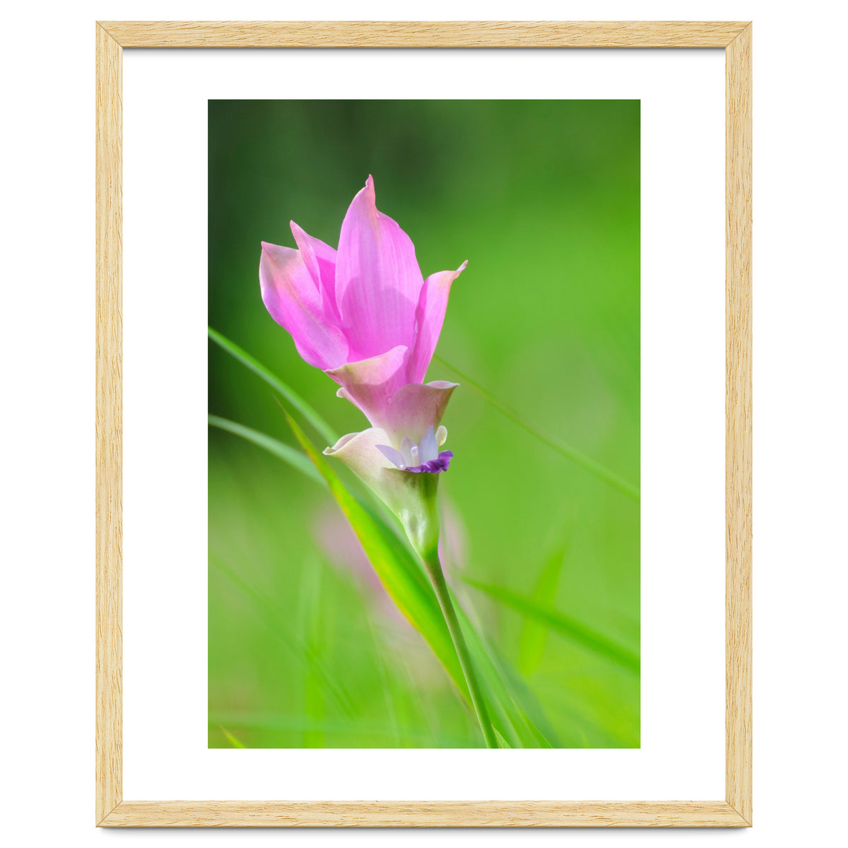 Nature 4000x6000 (12)