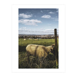 Bucolism 5 (Print Only) thumbnail