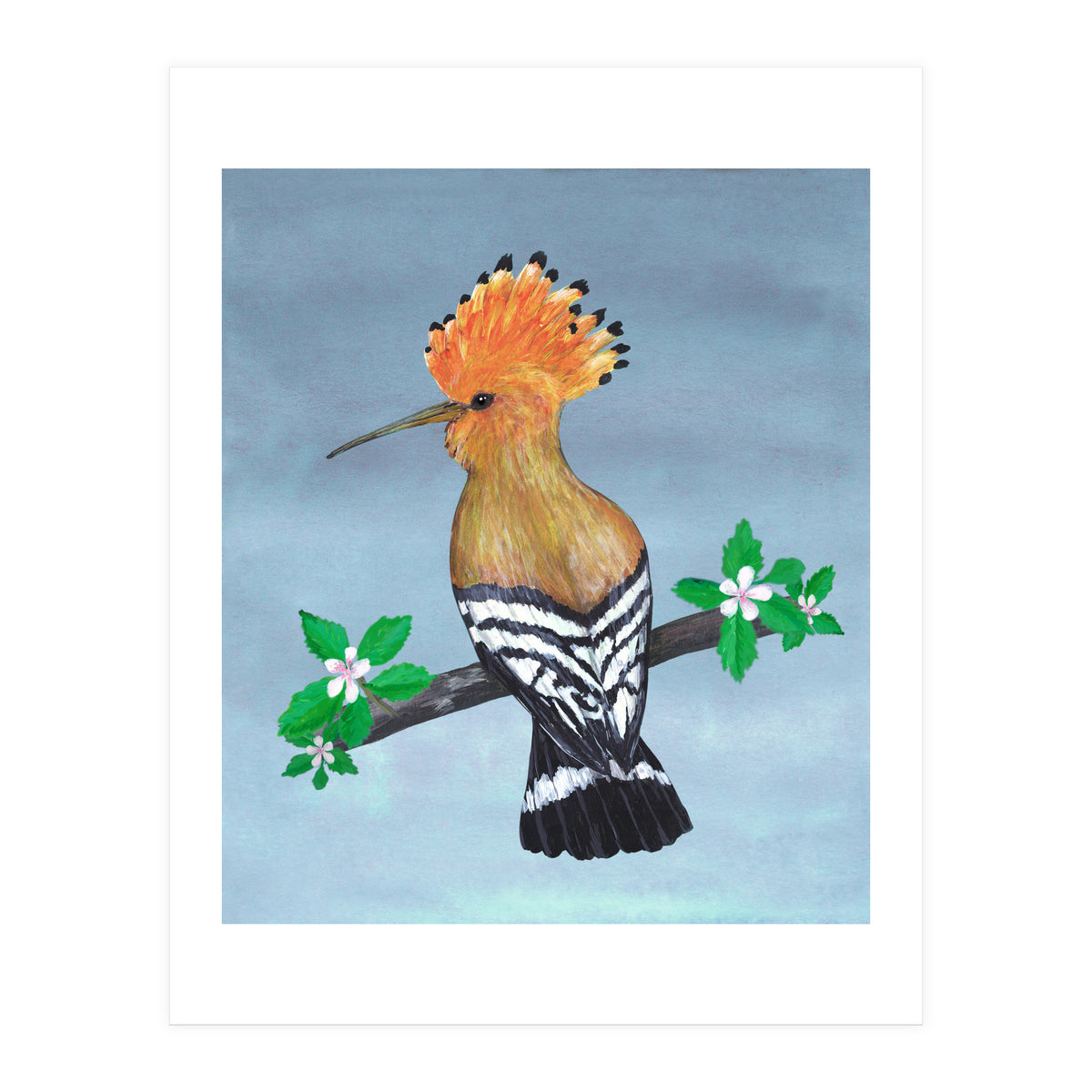 Hoopoe bird (Print Only)