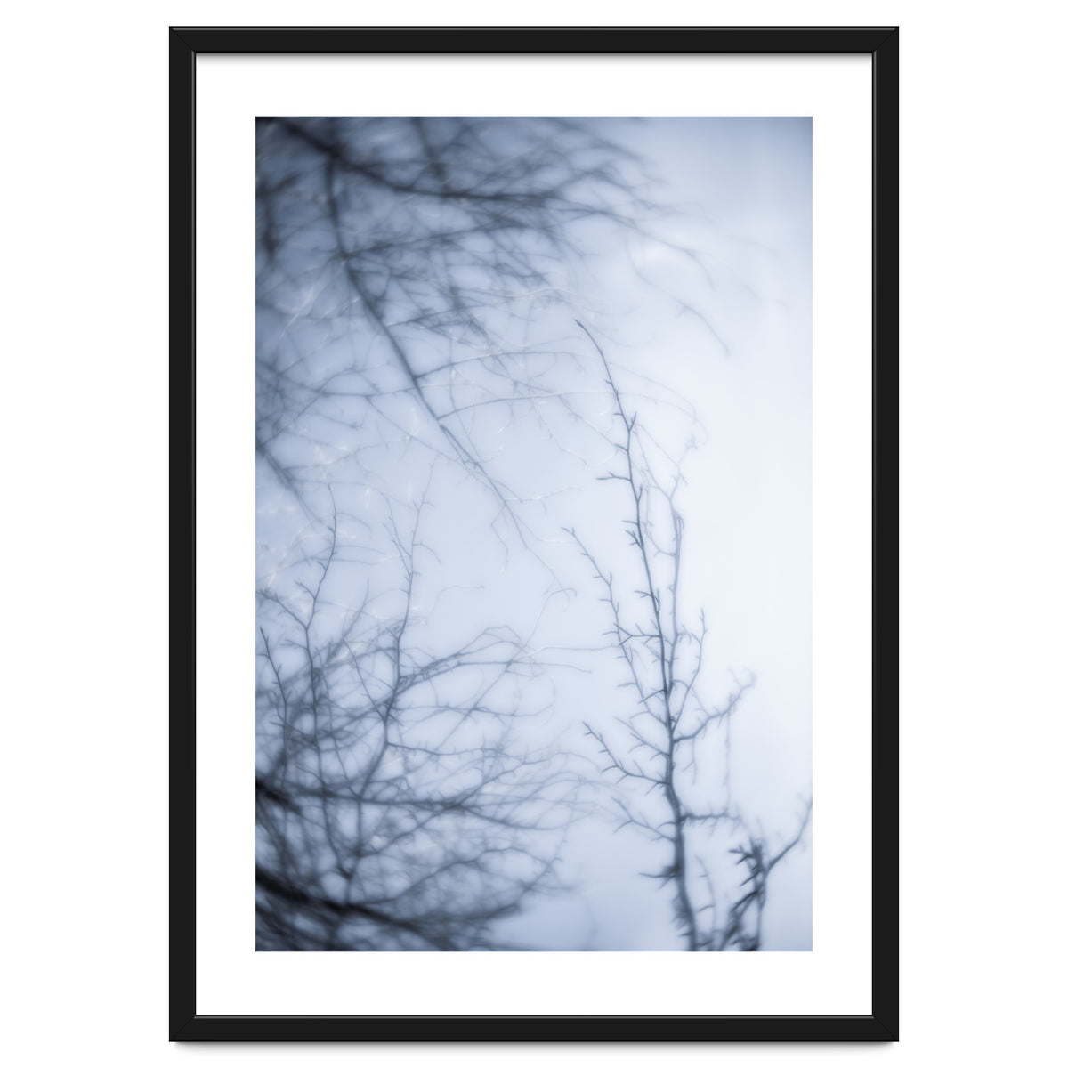 Forgotten Memories of Summer #21