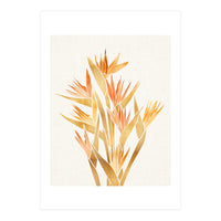 Tropical Bird of Paradise Bouquet (Print Only)