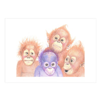 Orangutan Babies (Print Only)