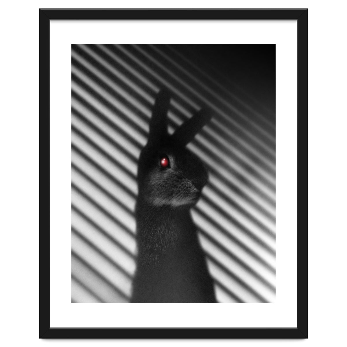 Shadow Bunny