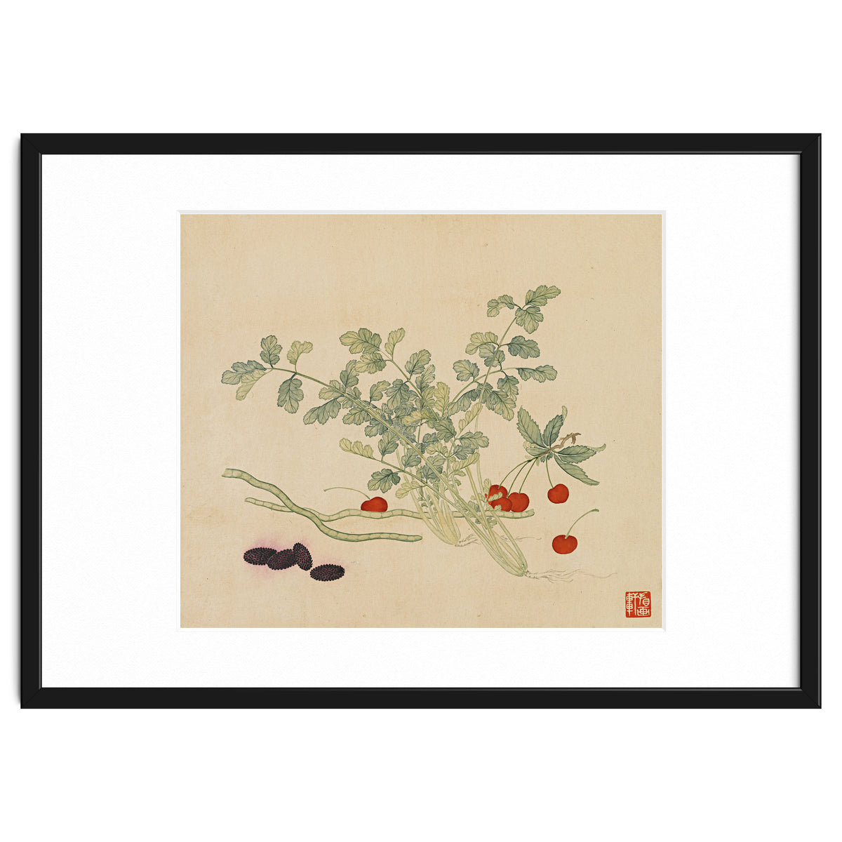 Wang Chengyu~flowers And Vegetables, Vegetables, Fruits, Beans, Red Beans, Cherries, Celery