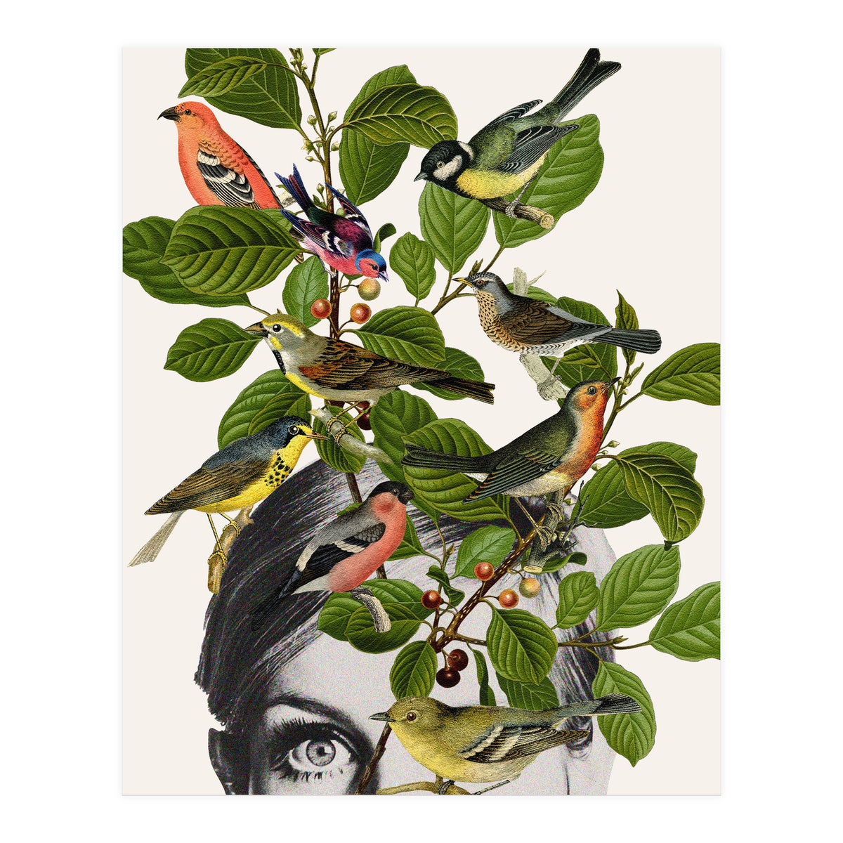 Twiggy Eyes (Print Only)