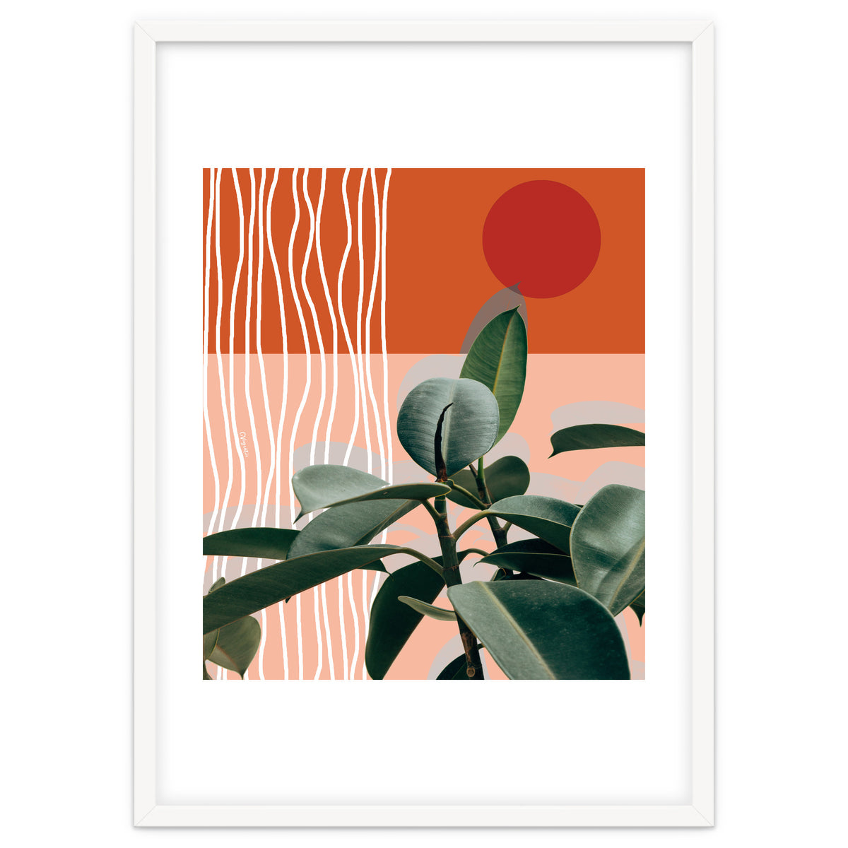 Times of a Growing Plant