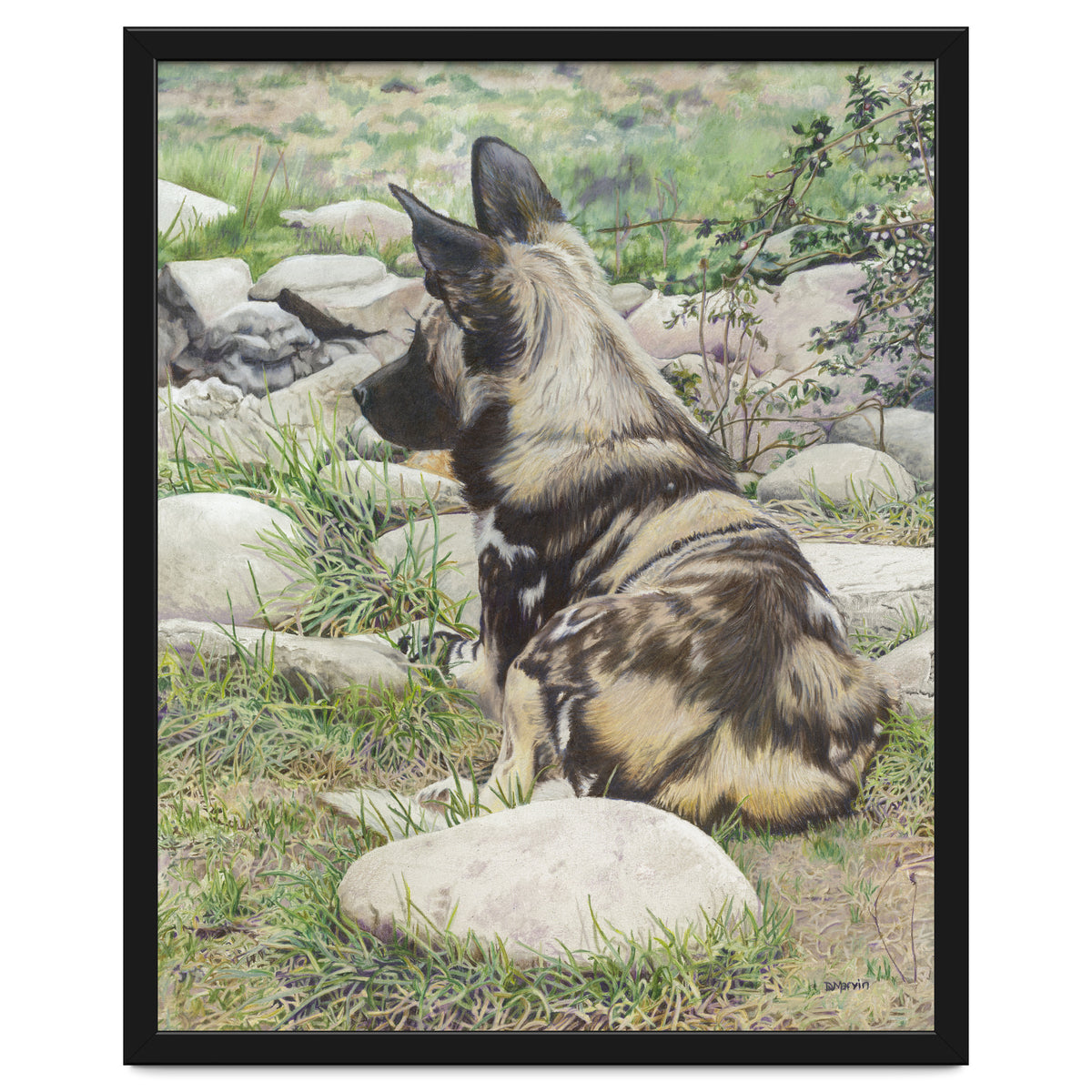 African Painted Dog I