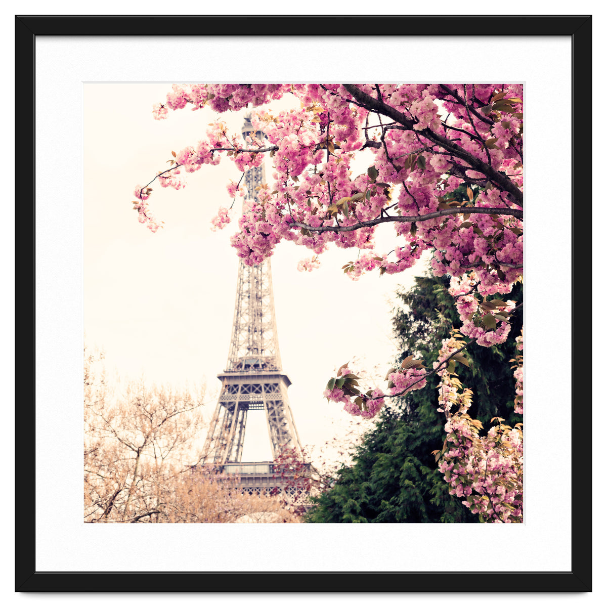 Paris in the Spring