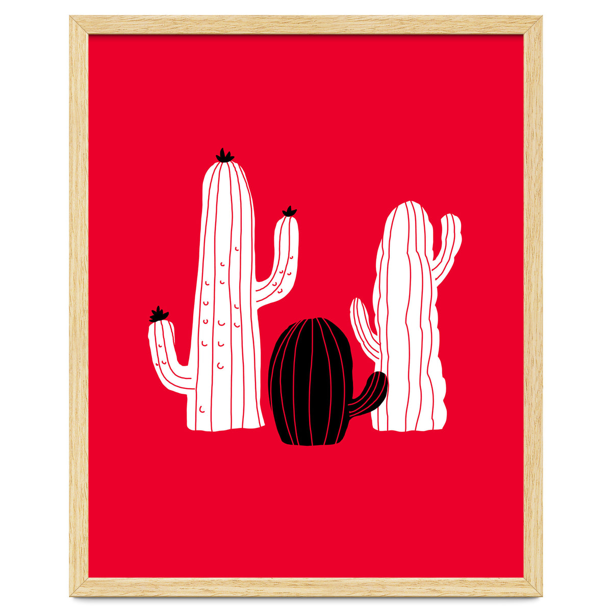 Cactus