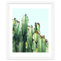 Cactus Love