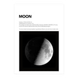 MOON (Print Only) thumbnail
