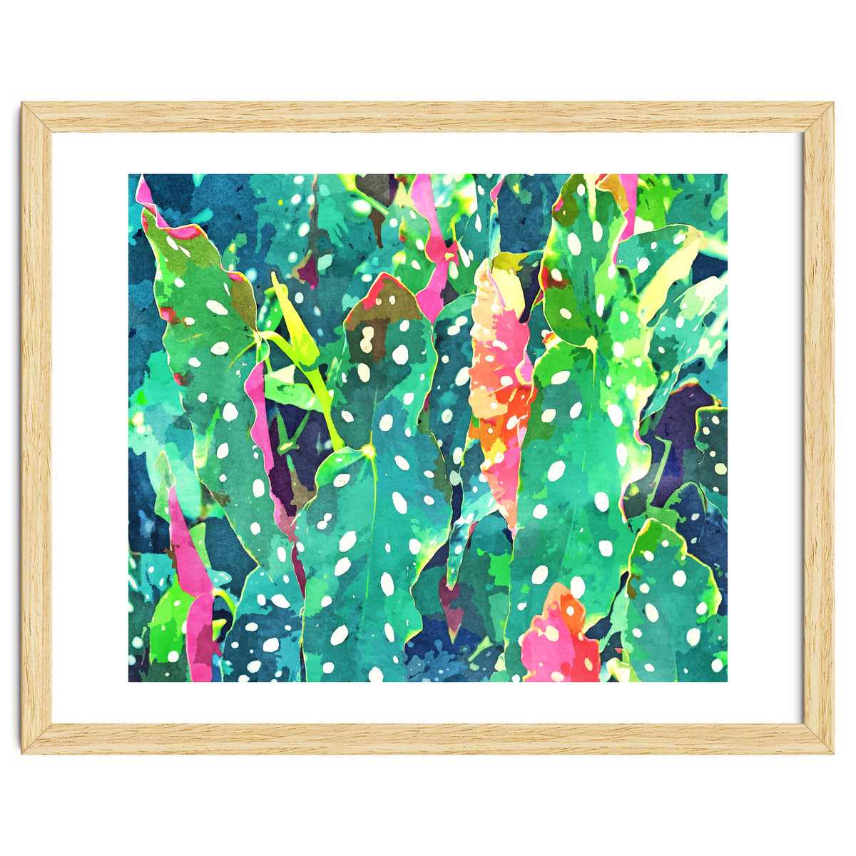 The Polka Dots Plant