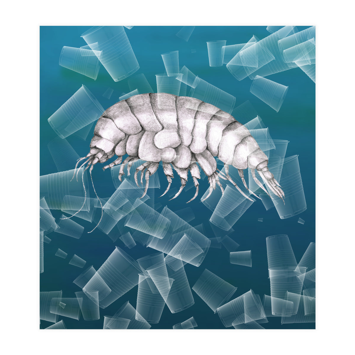 Eurythenes Plasticus (Print Only)