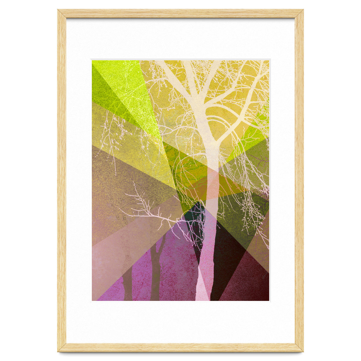 P22 A Trees And Triangles