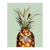 Pineapple Owl (Print Only) thumbnail