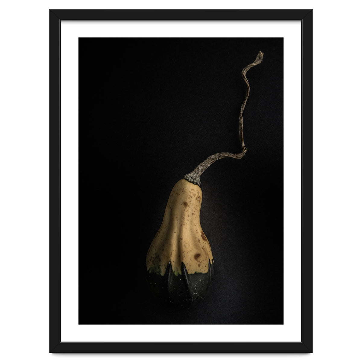 Gourds No 12 Color Version