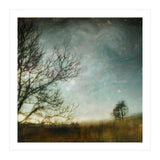 The Tree That Whispered (Print Only) thumbnail