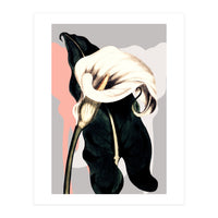 Calla lily flower (Print Only)