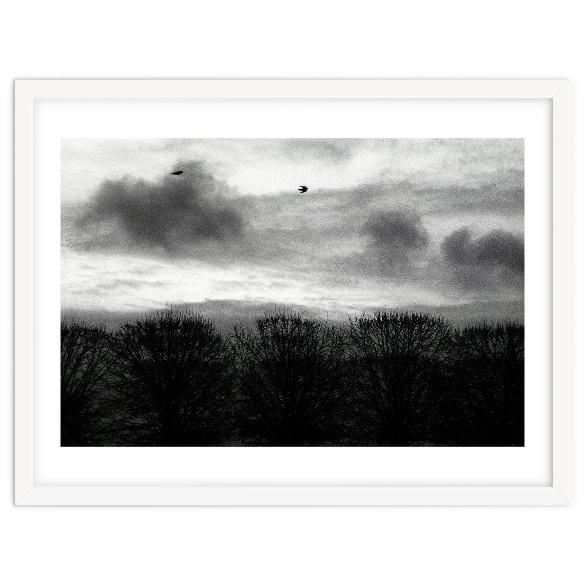 Winter mornig in Paris