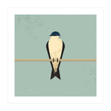 Swallow (Print Only) thumbnail