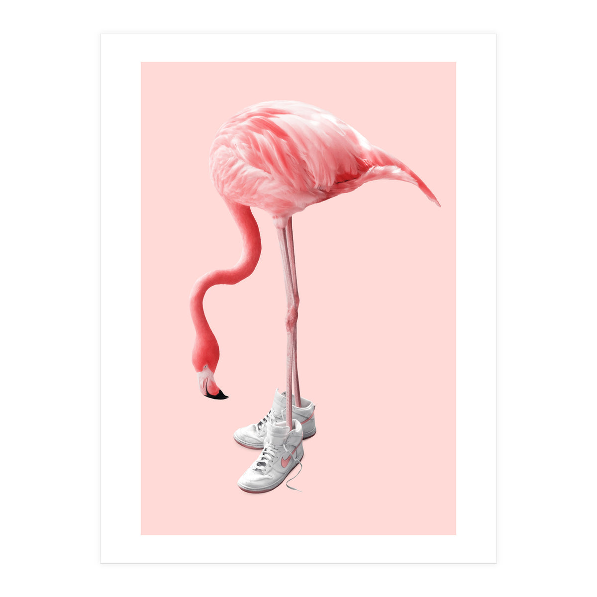 Sneaker Flamingo (Print Only)