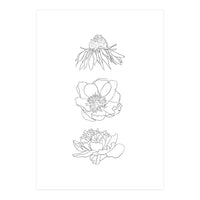 Hand Drawn Flowers (Print Only)
