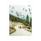 Flamingo Flight (Print Only) thumbnail