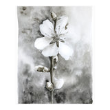 White flower (Print Only) thumbnail