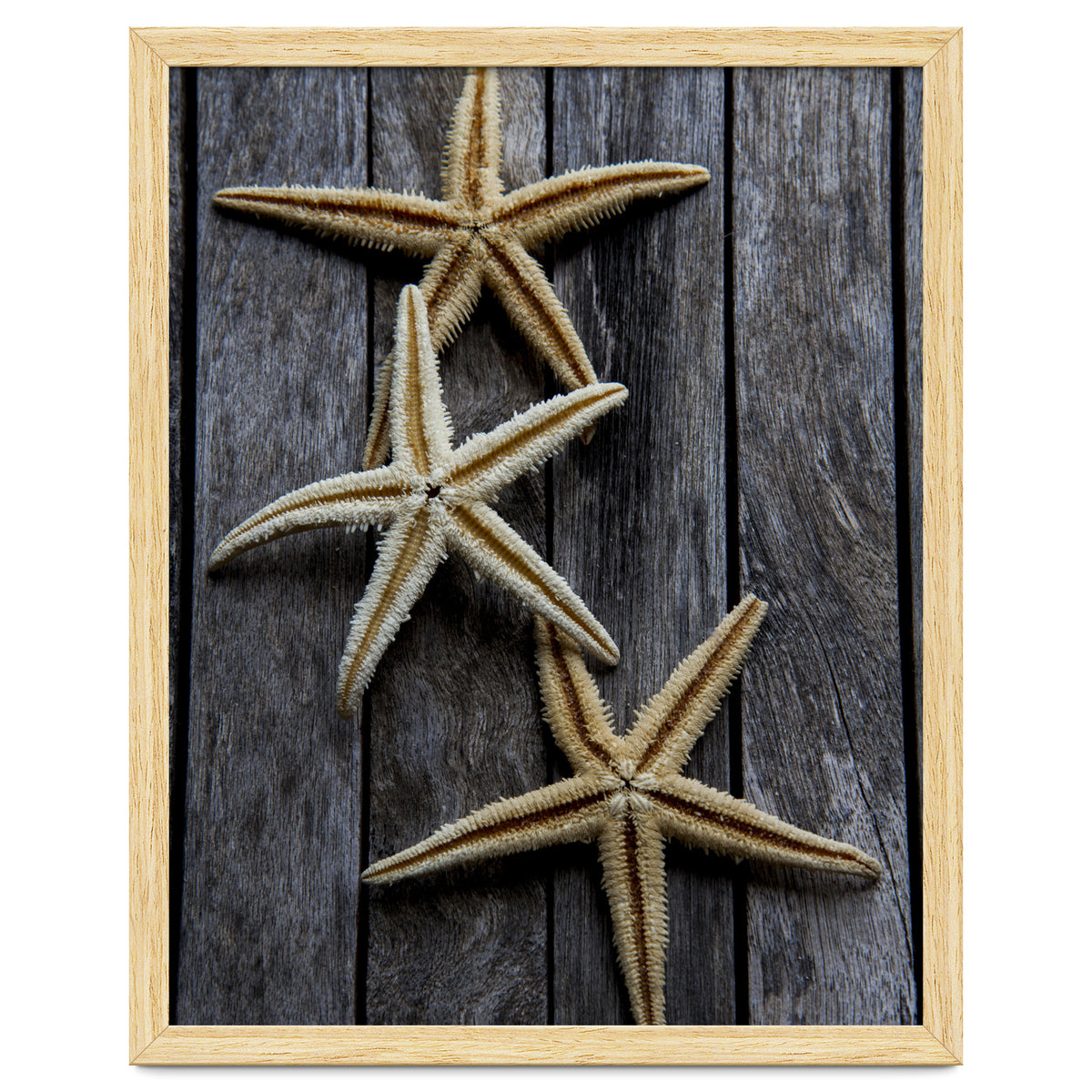 Starfishes in wooden