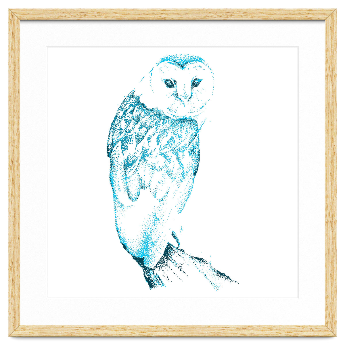 Barn Owl in Teal