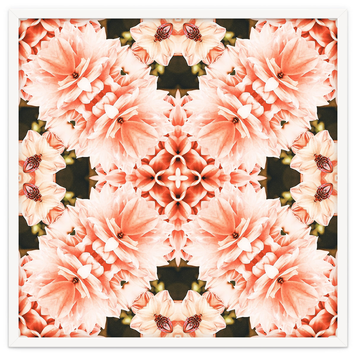 Blush Mandala