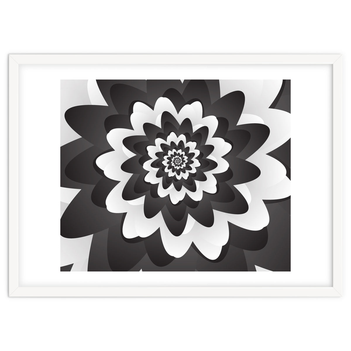 Mono Chrome Flower Spiral Pattern