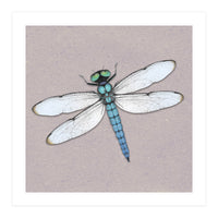 Blue dragonfly (Print Only)