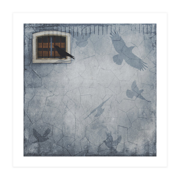 Birdy (Print Only)