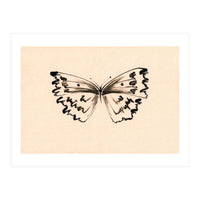 Butterfly (Print Only)