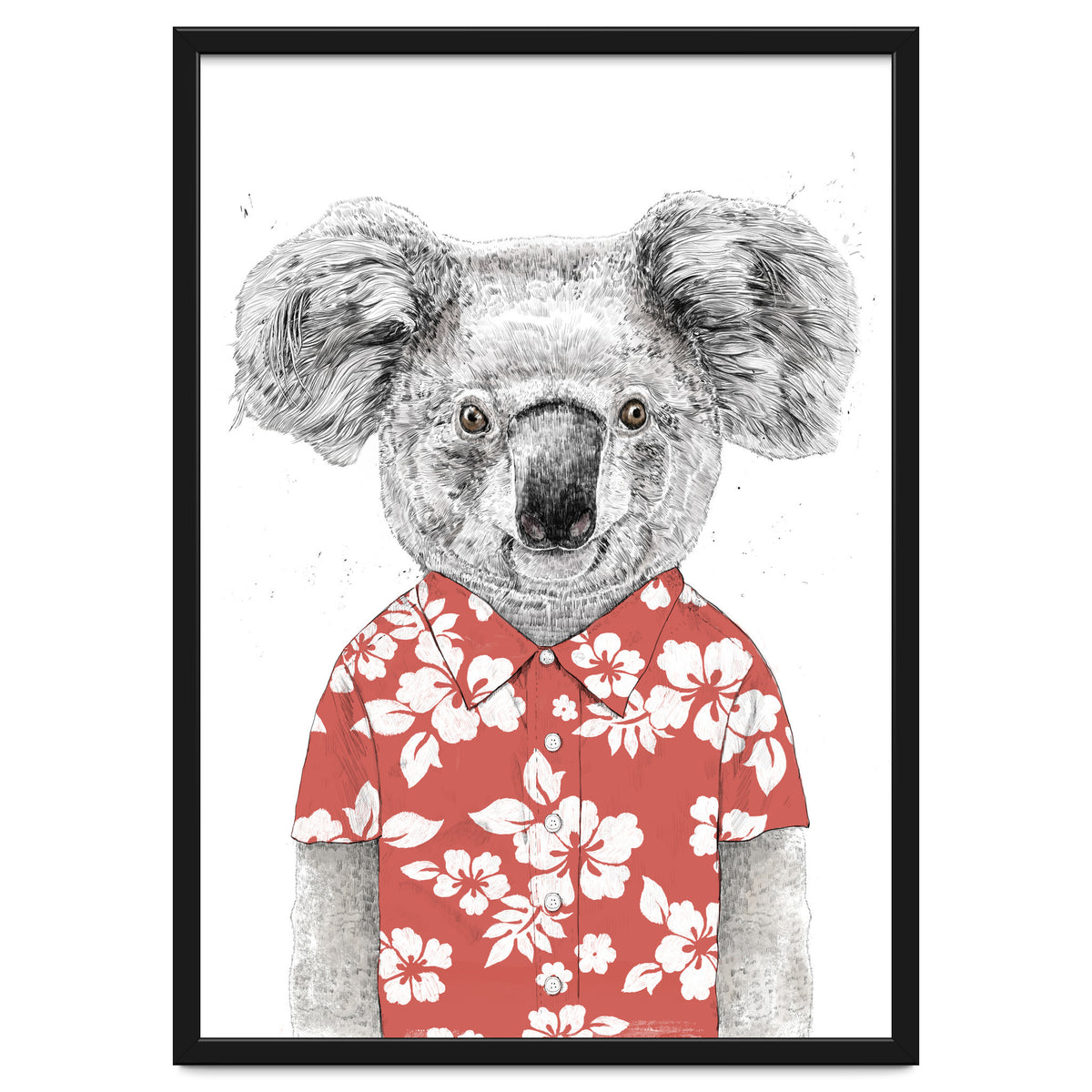 Summer Koala
