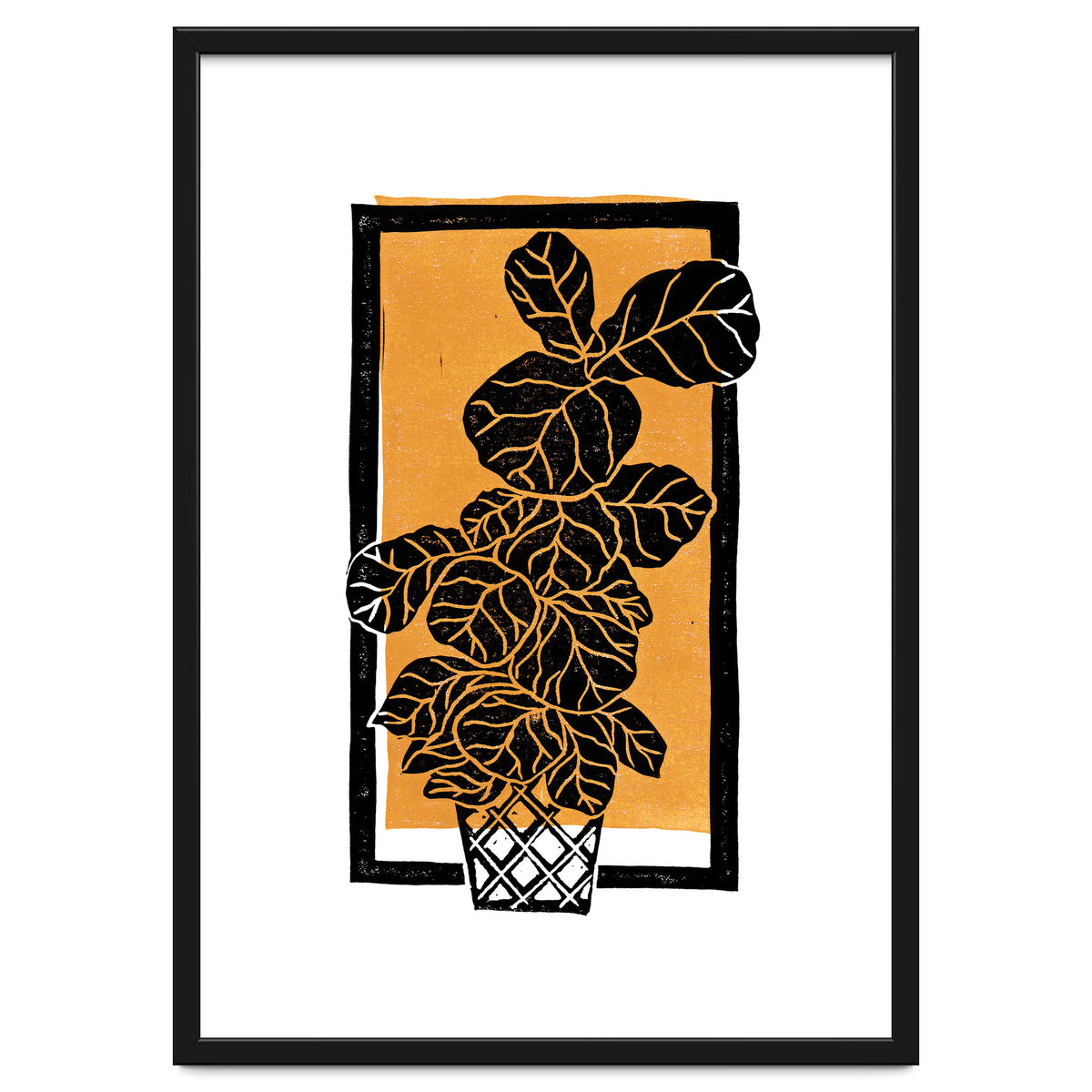 Fiddle Leaf Fig Clean + Sunlight